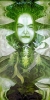 Le Verte Heure du San Pedro (by Dave Senecal)